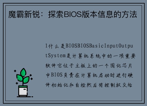 魔霸新锐：探索BIOS版本信息的方法